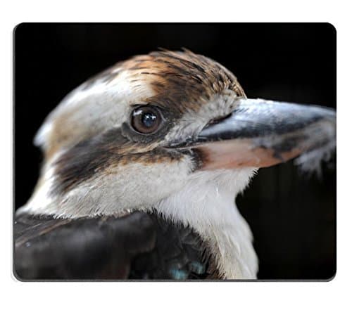 Jun xt Gaming Mousepad IMAGE ID: 26885239 Springbok Wildlife Background from Africa Ram of Green Peace