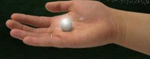 Fairy Berry by FORTUNE