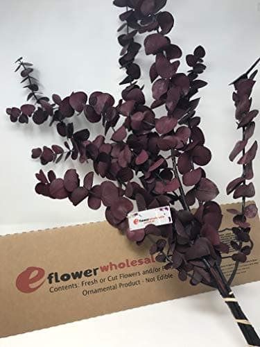 eflowerwholesale Fresh Preserved Eucalyptus Red Tone