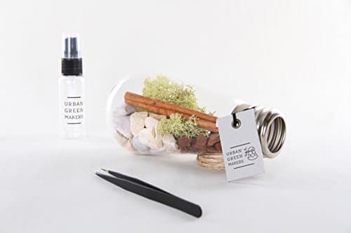 Glass Bulb Terrarium DIY Kit - Includes Moss, Rocks, Bark, &amp; Other Decorative Supplies - Unique &amp; Customizable (Urban Green Makers Kit 7)