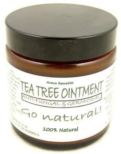 Natural Tea Tree Ointment 120ml: for insect bites, chicken pox, cold sores and more by Avena Remedies