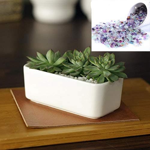 Bundle Pack Pot ＆ Bulk Flourite Tumbled Chips Feng Shui Rock - Indoor Stone Crushed Crystal Natural Rocks Irregular Shape Healing Home Decorative Clear Stones - Vases Plants Succulents Garden Gift