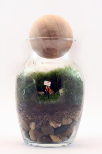 Twig Terrariums Gentle Reminder