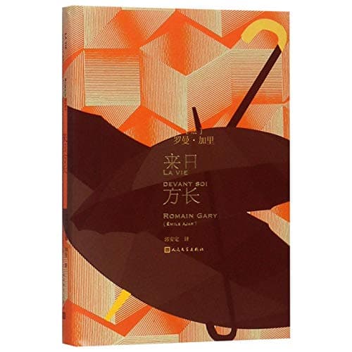 Long Time Ahead/ La Vie Devant Soi (Chinese Edition)