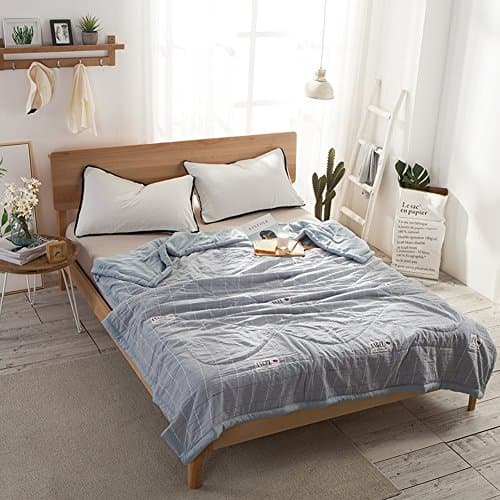 EONSHINE Premium Soft Thin Air Conditioning Summer Quilt, Light Weight Blanket Rug for Kids or Adults Bedroom Sofa Couch Bed Car Office (Checked, Twin)