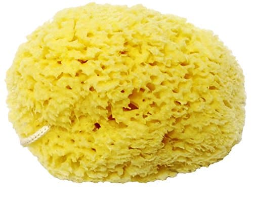 Honeycomb Natural Sea Sponge - Strong type