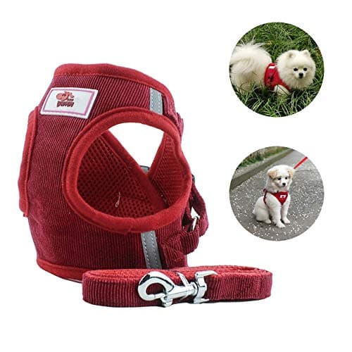 Soft Mesh No Pull Dog/Cat Harness and Lead Set for Walking, Escape Proof Dog Vest Harnesses for Puppy Small Animals/Cats, Easy Fit Dog Collar (Medium, Corduroy-Red)