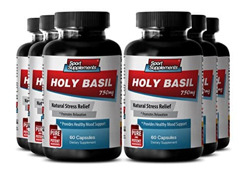 Holy Basil Tulsi Bulk - Holy Basil Extract 750mg - Immune System and Energy Booster with Holy Basil Supplement (6 Bottles 360 Capsules)