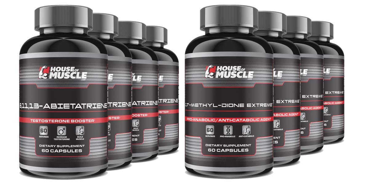 15-Week Dynamic Duo Muscle Building Stack - Build Muscle & Strength Fast - 8,11,13-Abietatriene and 17-Methyl-Dione Extreme