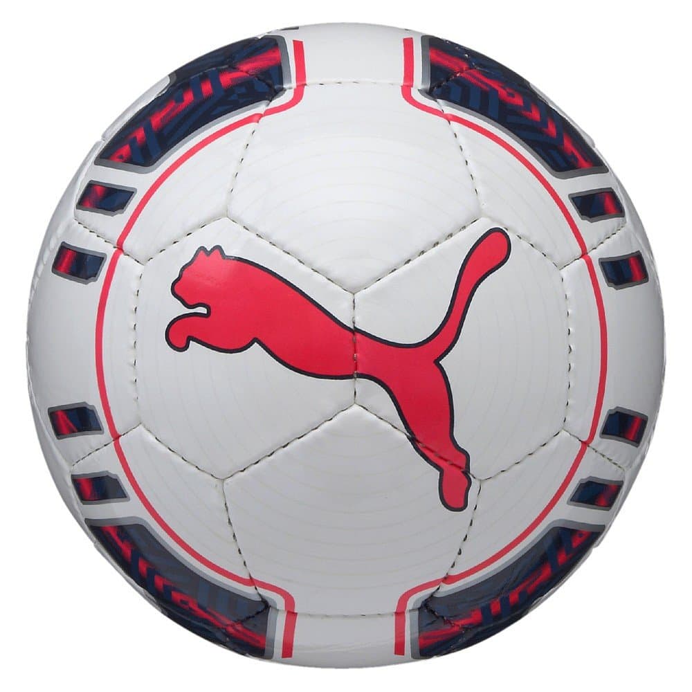 Puma Evopower 5 Futsal Ball