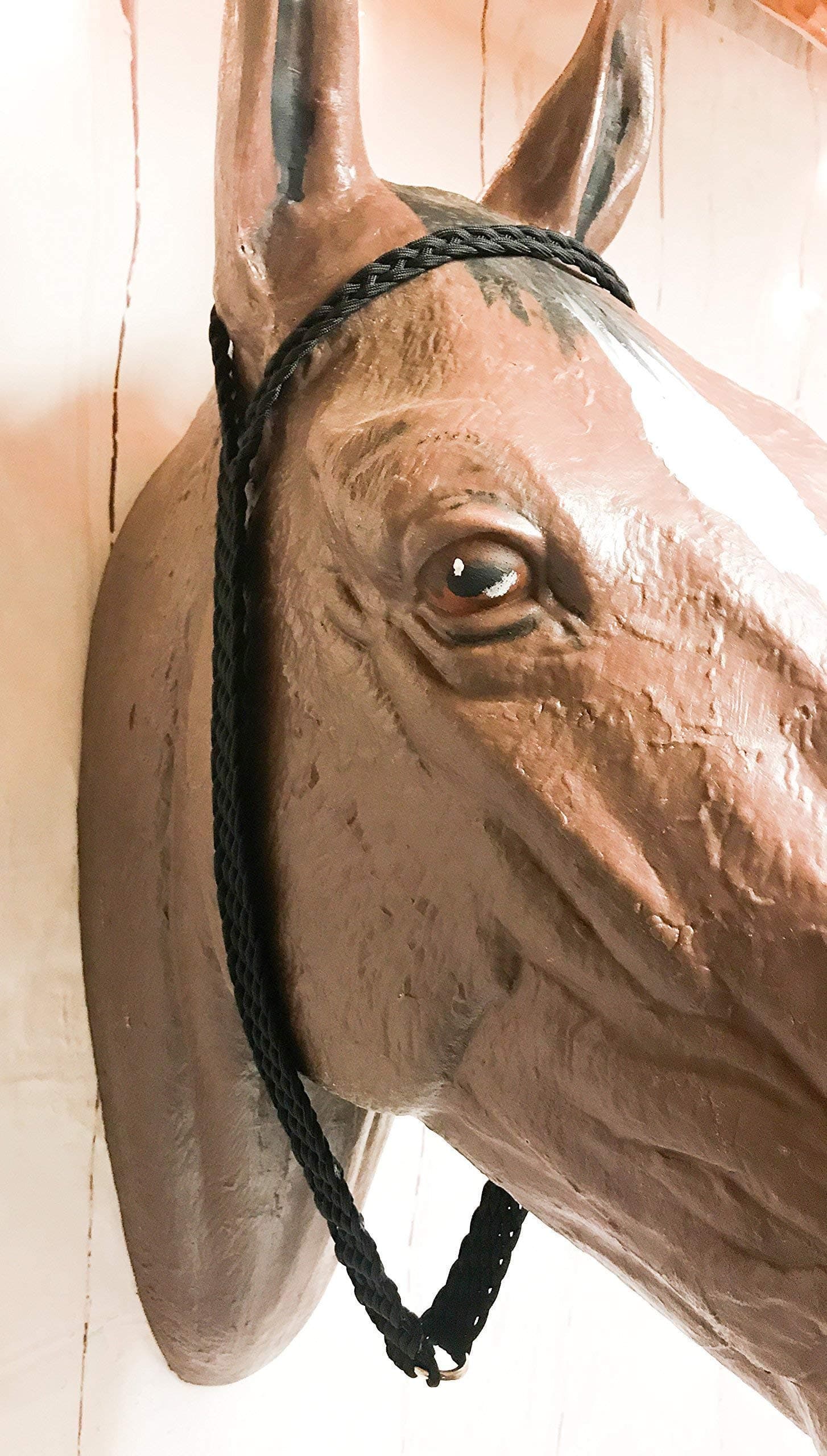 war bonnet tie down horse tack black