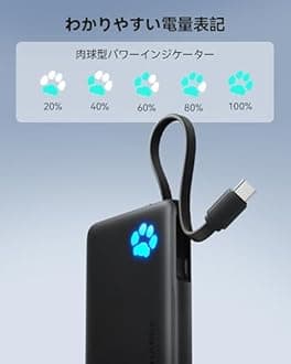 INIU Mobile Battery, Ultra-Lightweight, Compact, Slim [22.5W Fast Charging, Large Capacity 10,000mAh] Type C Mobile Battery Popular USB C USB A Power Bank (PSE Certified, Simultaneous Charging for 3