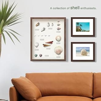 FrameWorks 8” x 8” Natural Oak Wooden Shadow Box Frame – Display Case with Soft Felt Back, Memory Box with Tempered Glass, Display Box with Elegant White Ball Push Pins, Wooden Flower Box