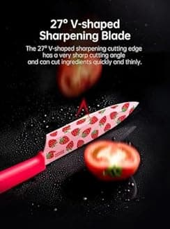 Stainless Steel Printed Kitchen Knife Set with Non-Slip Handle, Antibacterial Multi Color-Printed Non-Stick Coating, Paring Knife (Pack of 1)