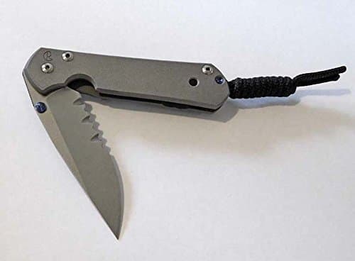 Authentic Chris Reeve Small Sebenza 21 With Serrated Blade