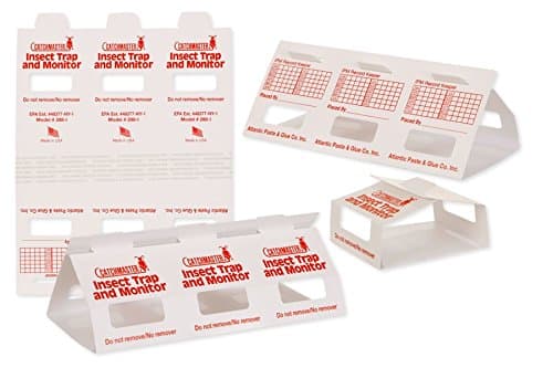 15 Brown Recluse Spider Traps (Non-Toxic)