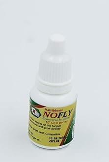 NOFLY Beauveria bassiana Pack of 1 Quantity 10 ml