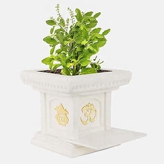 YUCCABE ITALIA 12 Inches Tulsi Planter Flower Pot for Home Indoor and Outdoor Use Off White with Plate