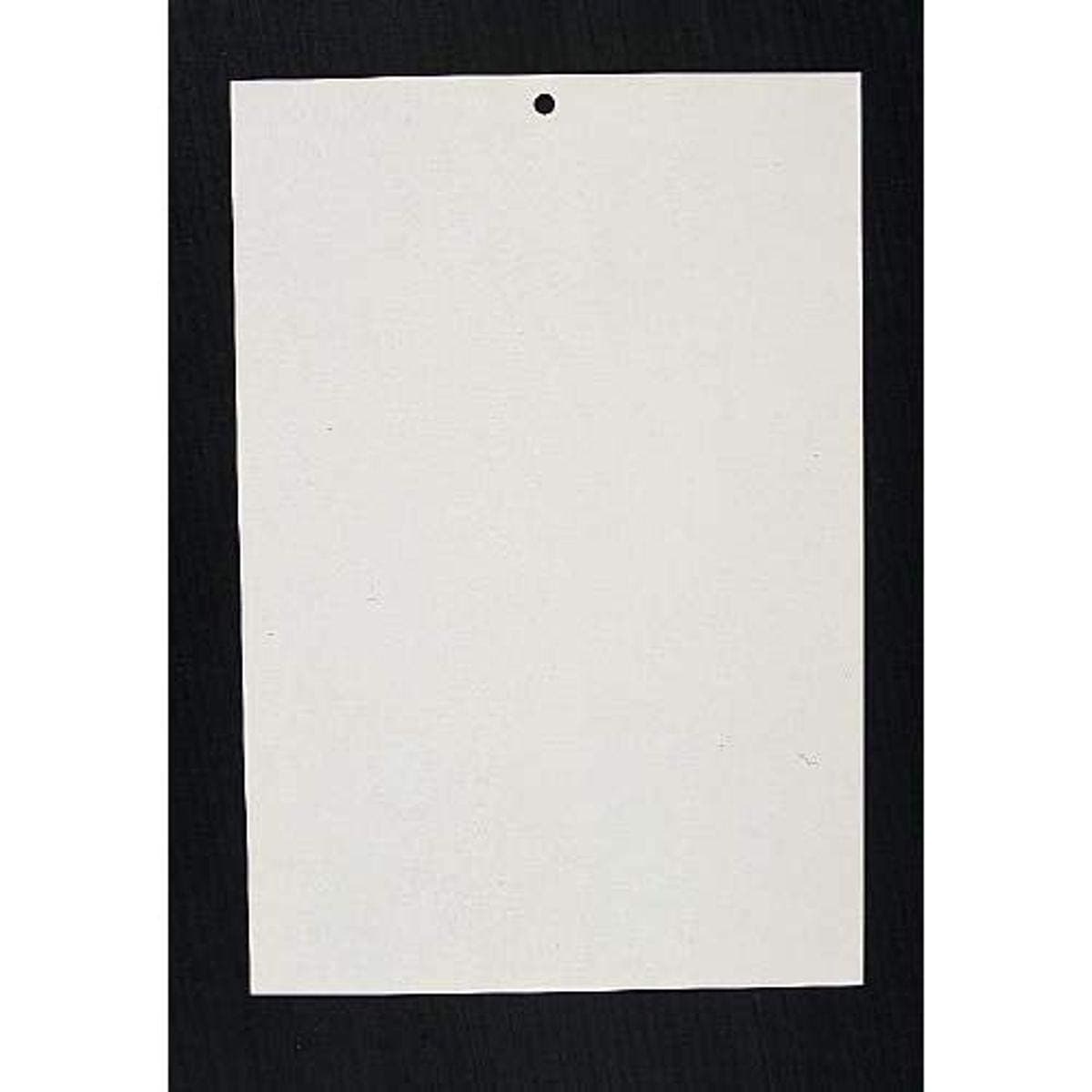 Company WDX Paint Test Card, Plain White