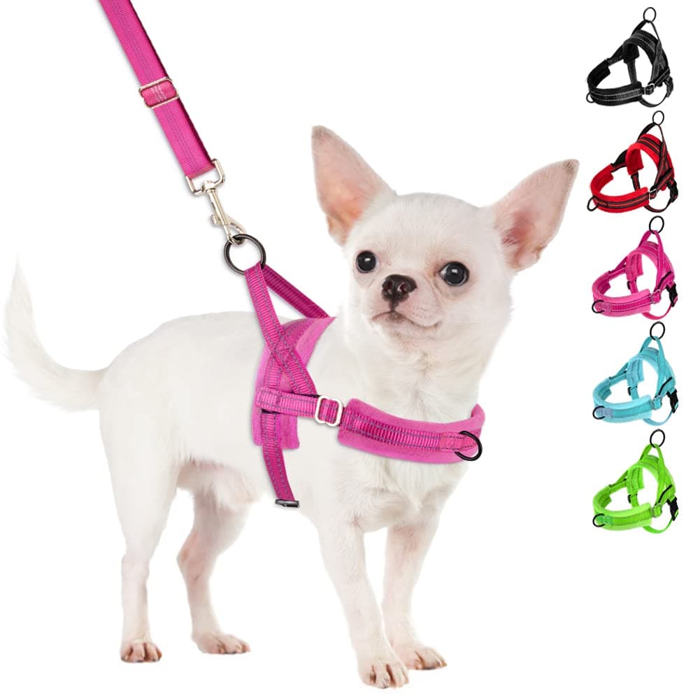 No Pull Small Dog Harness and Leash Set, Puppy Soft Vest Harness Neck & Chest Adjustable, Reflective Lightweight Harness & Anti-Twist Pet Lead Combo for Small Medium Dogs (Fuchsia, XXS)