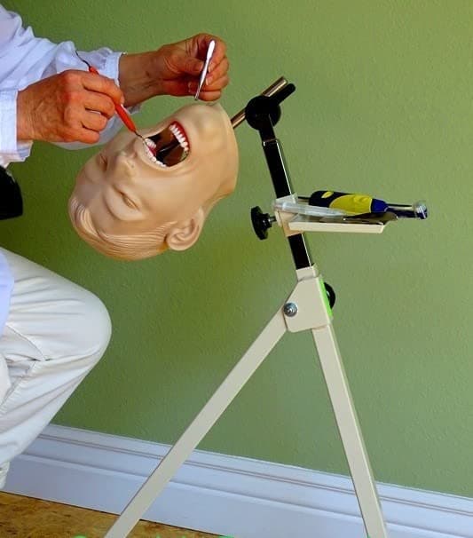 Dental Mount, Tray for Instruments. for Manikin Dentistry Techniques Practice & Training (Head, Instruments ON Photo NOT Included)