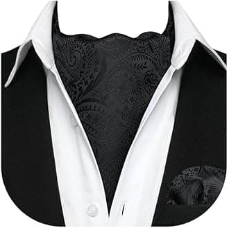 HISDERN Ascot Ties for Men Paisley Cravat Tie and Pocket Square Set Floral Mens Ascot Scarf Handkerchief Wedding Party