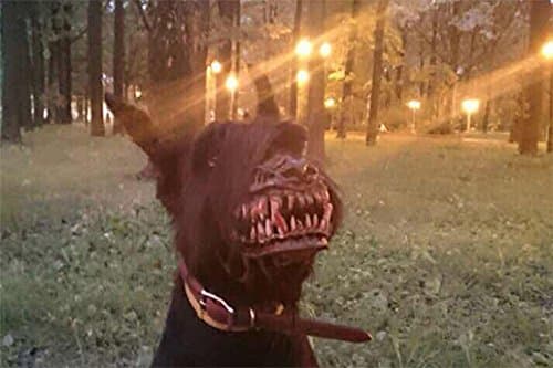 Zombie Werewolf Dog Muzzle Scary Muzzle with Teeth Halloween Muzzle for Dog Anti-Biting Muzzle and Chewing (5)