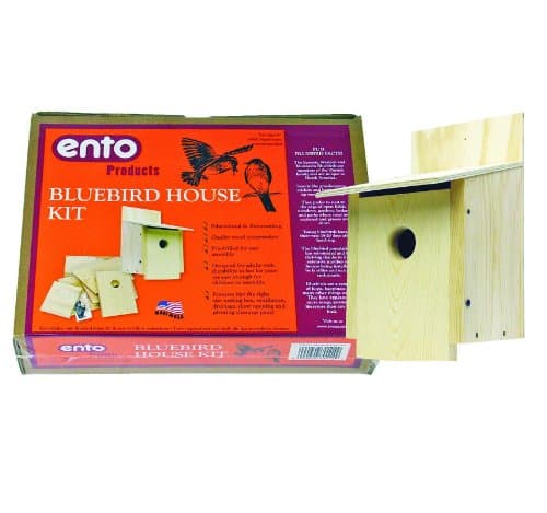 Ento Bluebird Wood House Kit