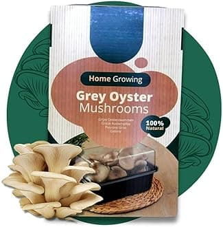 Carbeth Plants - Mushroom Growing Kit Grey Oyster - Grow Your Own Beginner Friendly Mushroom Educational Kit - Easy to Use Gardening Gift - Ready to Grow Tasty Produce for Cooking