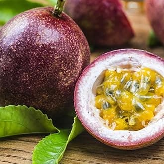 SANJUS Rare Plant Delicious Hybrid Passion Fruit LIve Plant Immunity Booster Fruit Plant