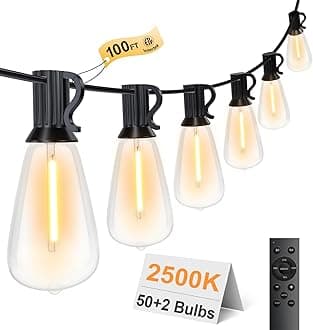 100FT Remote Outdoor String Lights for Outside, 50+2 LED Waterproof Shatterproof Edison Dimmable Timer Bulbs, 2500K Warm White Patio Lights for Garden Backyard Yard Hanging Lighting