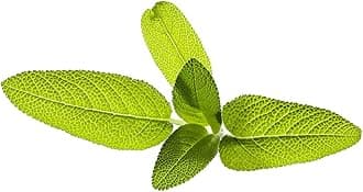 Click and GrowSmart Garden Garden Sage Plant Pods, 9-Pack