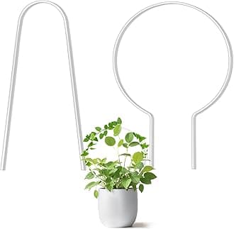 2pcs Hoya Trellis for Indoor Plants,Round Acrylic Trellis for Indoor Plants,U-Shape Hoya Trelli, for Flowers, Peas, Roses, Morning Glory, Vine Plant Accessories(Transparent)