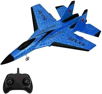 GoolRC FX620 2.4GHz Remote Control Airplane, 2 Channel RC Plane, SU-35 RC Glider EPP Aircraft Model with 3-Axis Gyro, Outdoor Flight Toys for Kids and Adults (Blue)