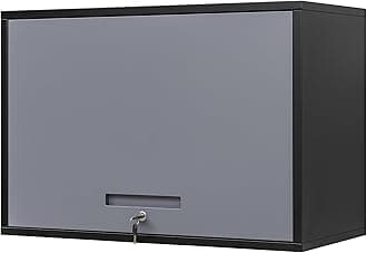 Metal Wall Cabinet with Doors and Shelves, Wall Mounted Storage Cabinet for Garage, Basement, Kitchen, Warehouse (Black Gray, 21.6" H)