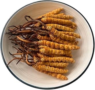 3 Gram 100% Wild Himalayan Cordyceps Sinensis Chinese Caterpillar Fungus Cordyceps Sinensis Wild Cordyceps,Dong Chong Xia Cao,Memory Support Immune Support,Natural Organic Herbal Supplements.