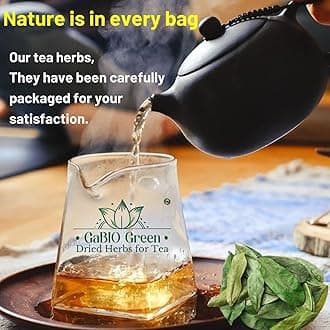 Soursop Graviola leaves Premium (+450 cups) +1350 leaves aprox, Big Bag, Hojas de guanabana, tea Soursop, Whole Dried Herbs,. (16.0 oz)+1350 leaves aprox. Gabio Green.