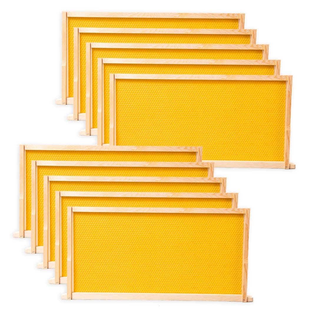 10-Pack Foundation with Frames，9-1/8-Inch