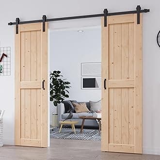 24" Double Barn door + 8FT Track kit