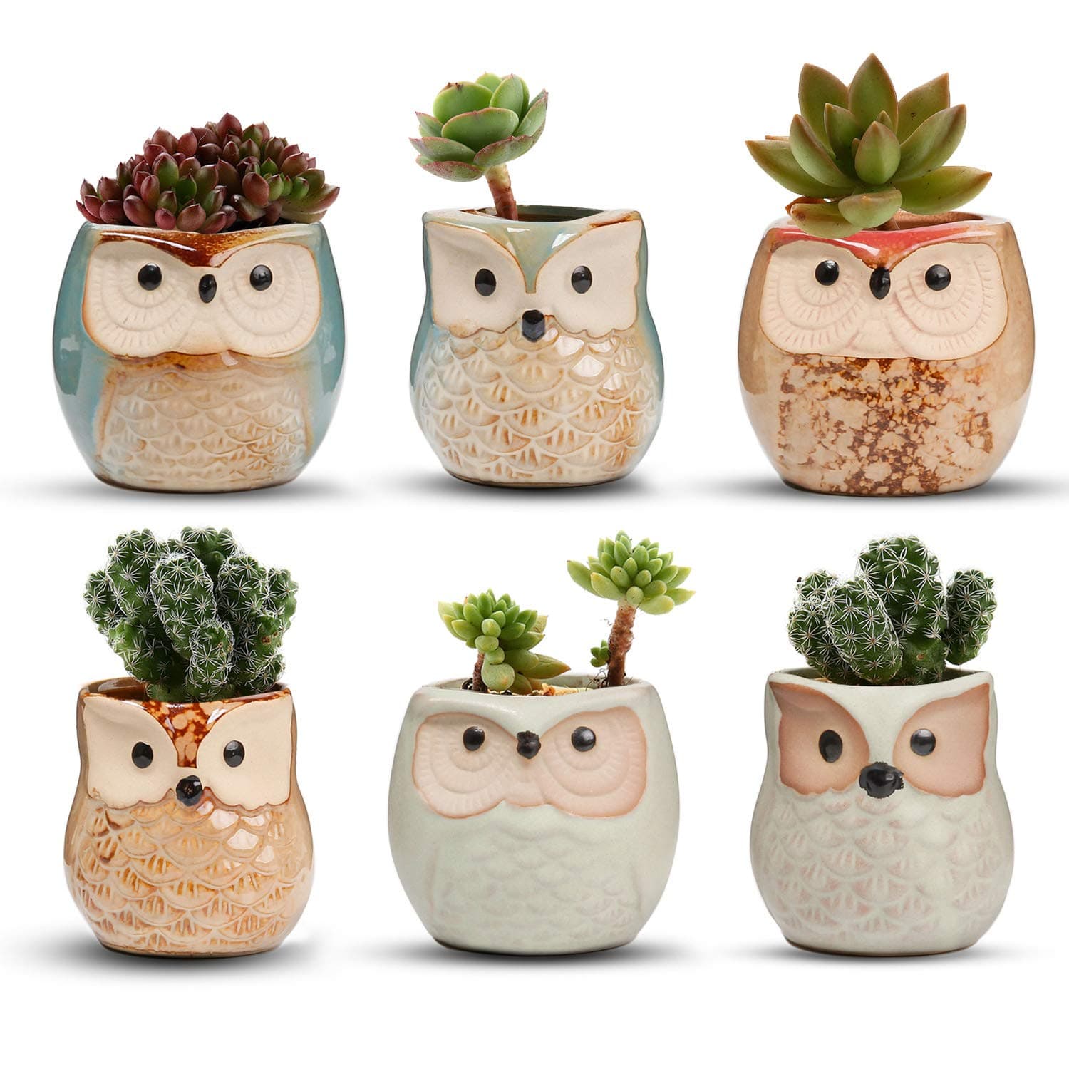Owl Plant Pots