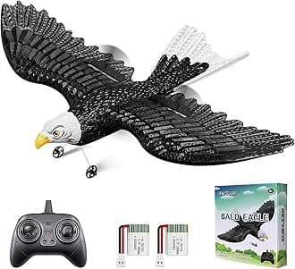 RC Eagle, 2 CH RC Plane Ready to Fly, 2.4GHz Remote Control Airplane, Easy to Fly RC Glider for Kids & Beginners