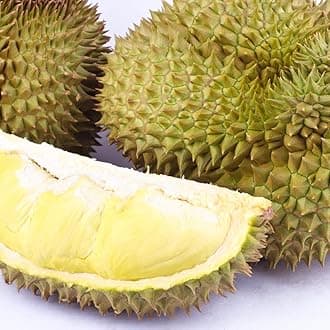 - M-Tech Gardens New Durian (Mon Thong, Seedling) Exotic 1 Live Fruit Plant