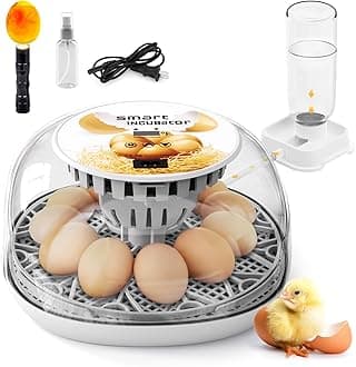 Egg Incubator for Hatching, Automatic Egg Turner Holds 12 Eggs, Smart Incubator 360° Clear Window with Temperature Display Egg Candler for Small Poultry Chickens Ducks Quails Eggs (EggI2)