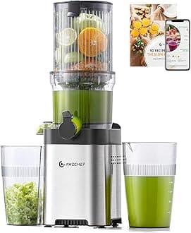 Cold Press Juicer, Juicer Machines - 4.6" Large Feed Chute for Whole Fruits & Vegetables, Stainless Steel Slow Masticating Juicer Easy to Clean, Large Auger, Double Strainers, Silver