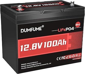 12V 100Ah Mini LiFePO4 Lithium Battery BCI Group 24 100A BMS 1280W Rechargeable Lithium Iron Phosphate Battery 6000+ Cycles Perfect for RV, Solar, Home Energy Storage