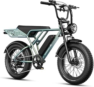 Jasion RetroVolt&Pro Electric Bike for Adults, 2000W/3000W Peak - 30/38MPH Electric Dirt Bike, 48V-52V, 13AH/20AH Battery, 70/90Miles Max Range Electric Motorcycle, 20'' X 4'' Fat Tire All-Terrain