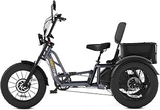 Tour 2400W Dual Motor Electric Tricycle for Adults, 48V 30AH Dual Battery Fat Tire Electric Trike, 25MPH 130Miles Full Suspension AWD Etrike (with an Extra Battery & Upgraded Folding Seat)