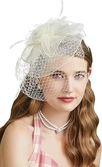 Fascinators Hats 20s 50s Hat Pillbox Hat Cocktail Tea Party Headwear with Veil for Girls and Women
