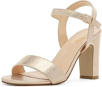 DREAM PAIRS Women's Open Toe Ankle Strap High Chunky Heel Sandals