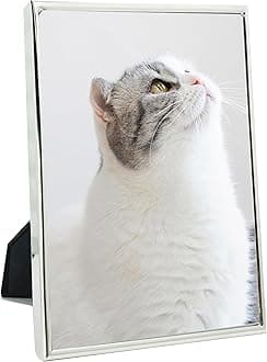 DECANIT 4x6 Picture Frame Metal, Thin Profile Photo Frame 4 by 6 Inch, Display for Wall or Tabletop,Silver